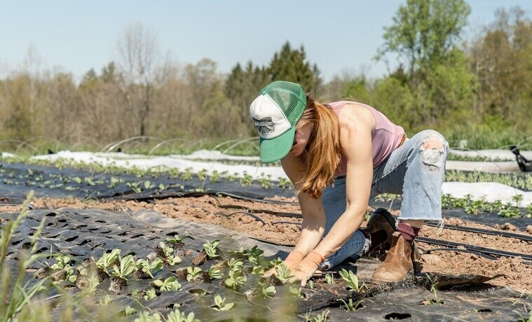 Planting Freedom: Gardening for Sovereignty and Self-Reliance