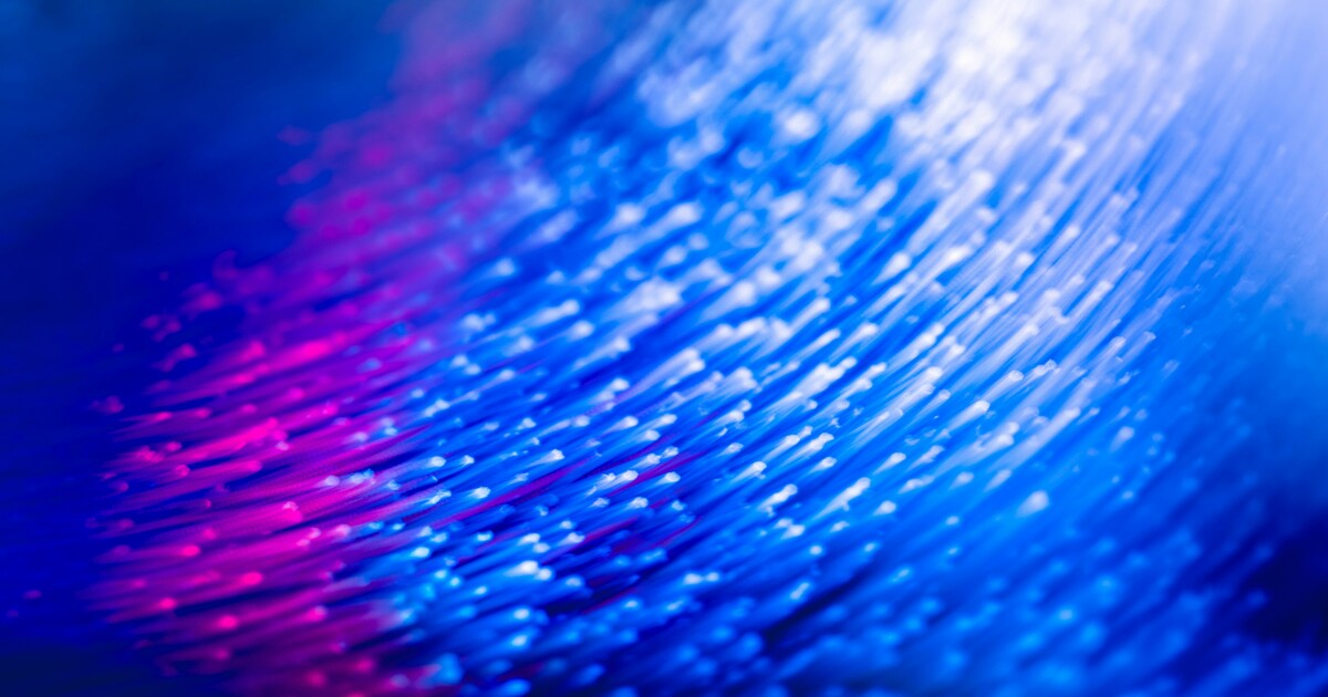 Can Freeorder Shape a Prosperous, Self-Governing Society?