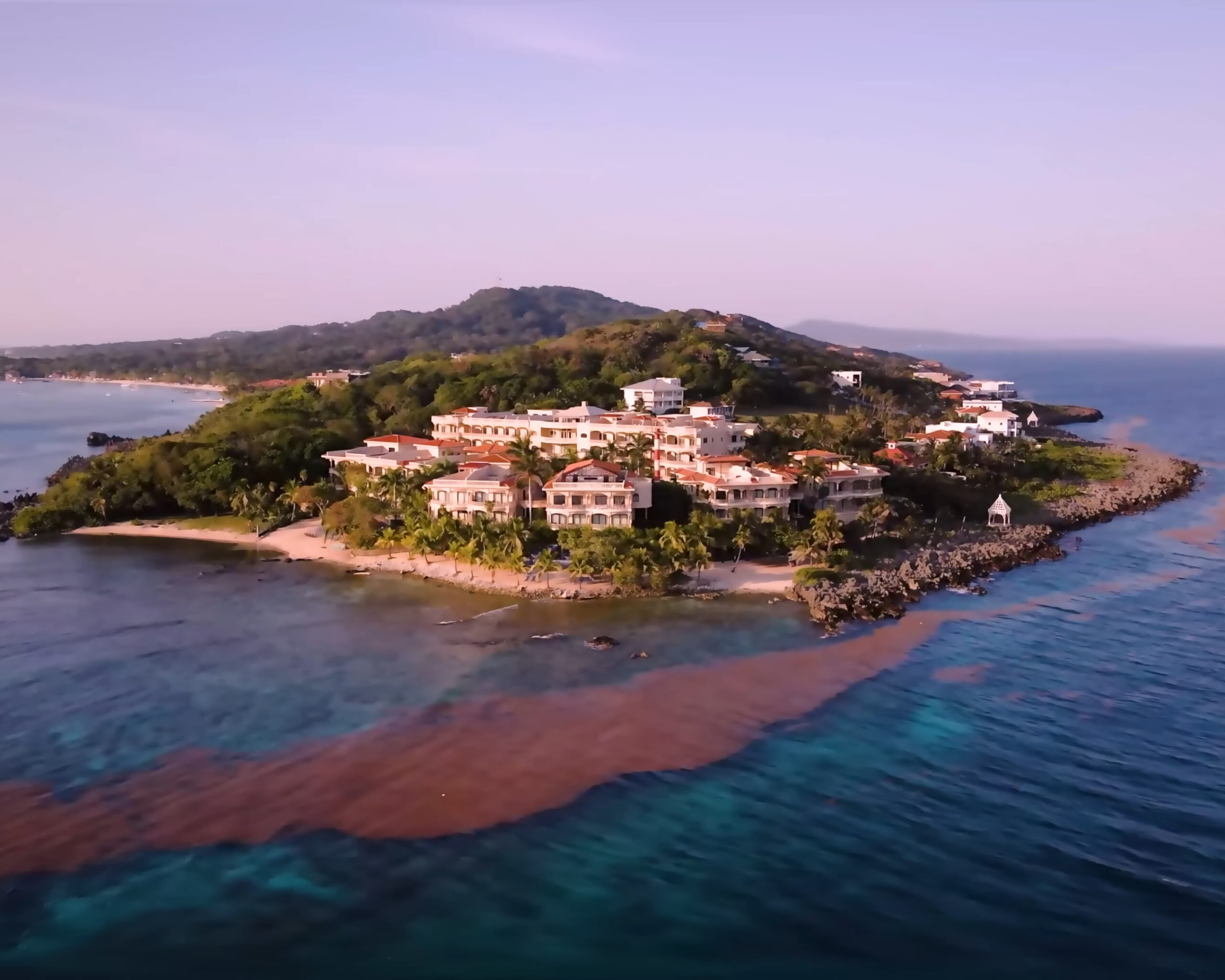 The Zone That Would Not Die: Inside Team Próspera