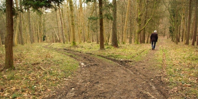 What We Can Learn About Choosing Liberty from Robert Frost’s "The Road Not Taken"