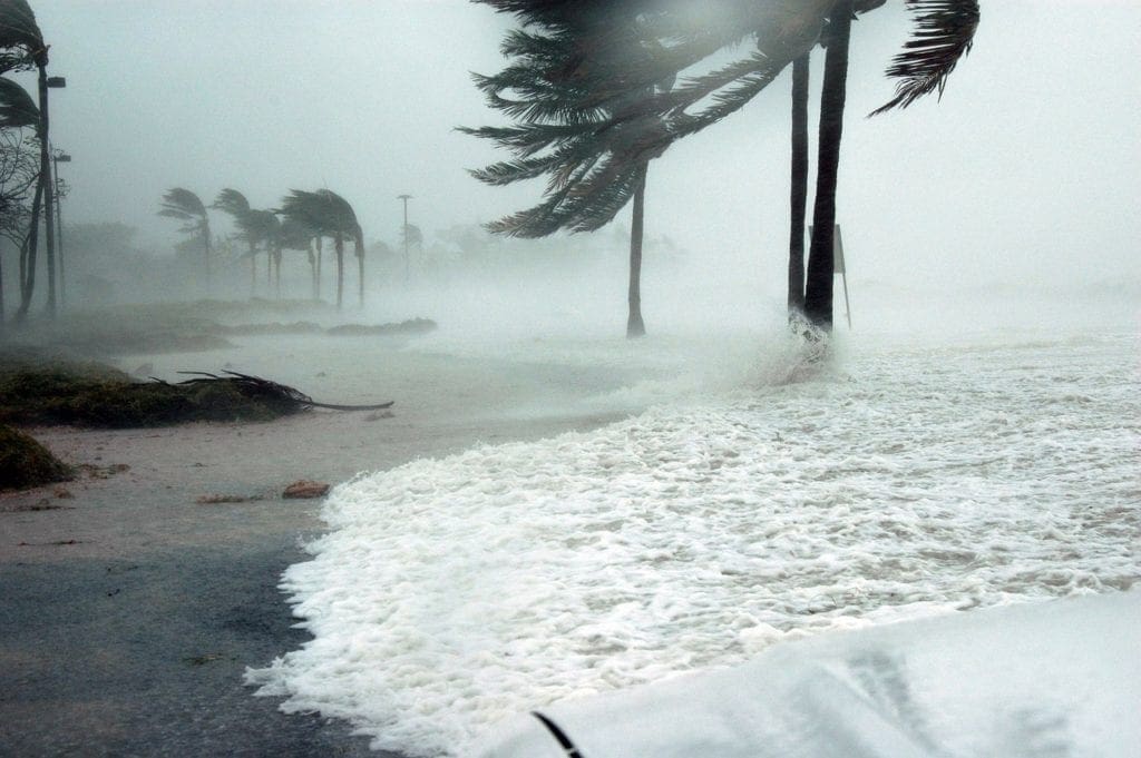 FEMA