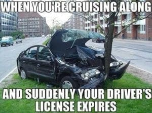 drivers license meme
