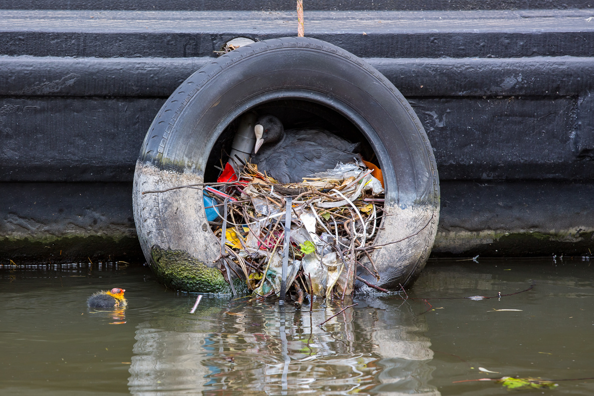 Governments Are the Worst Polluters