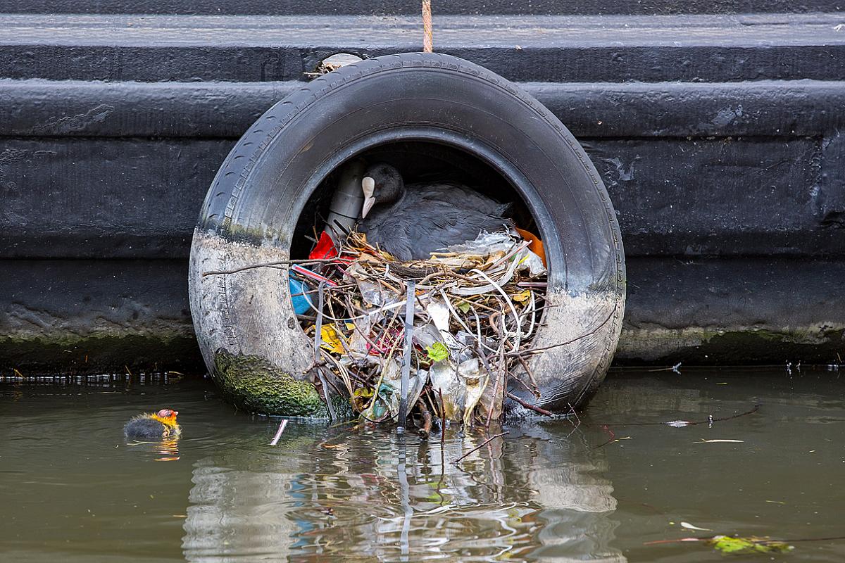 Governments Are the Worst Polluters