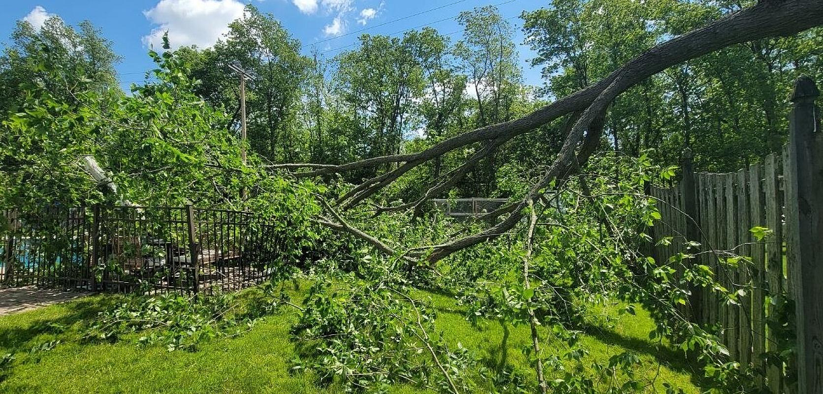 Thank God No One Was Hurt