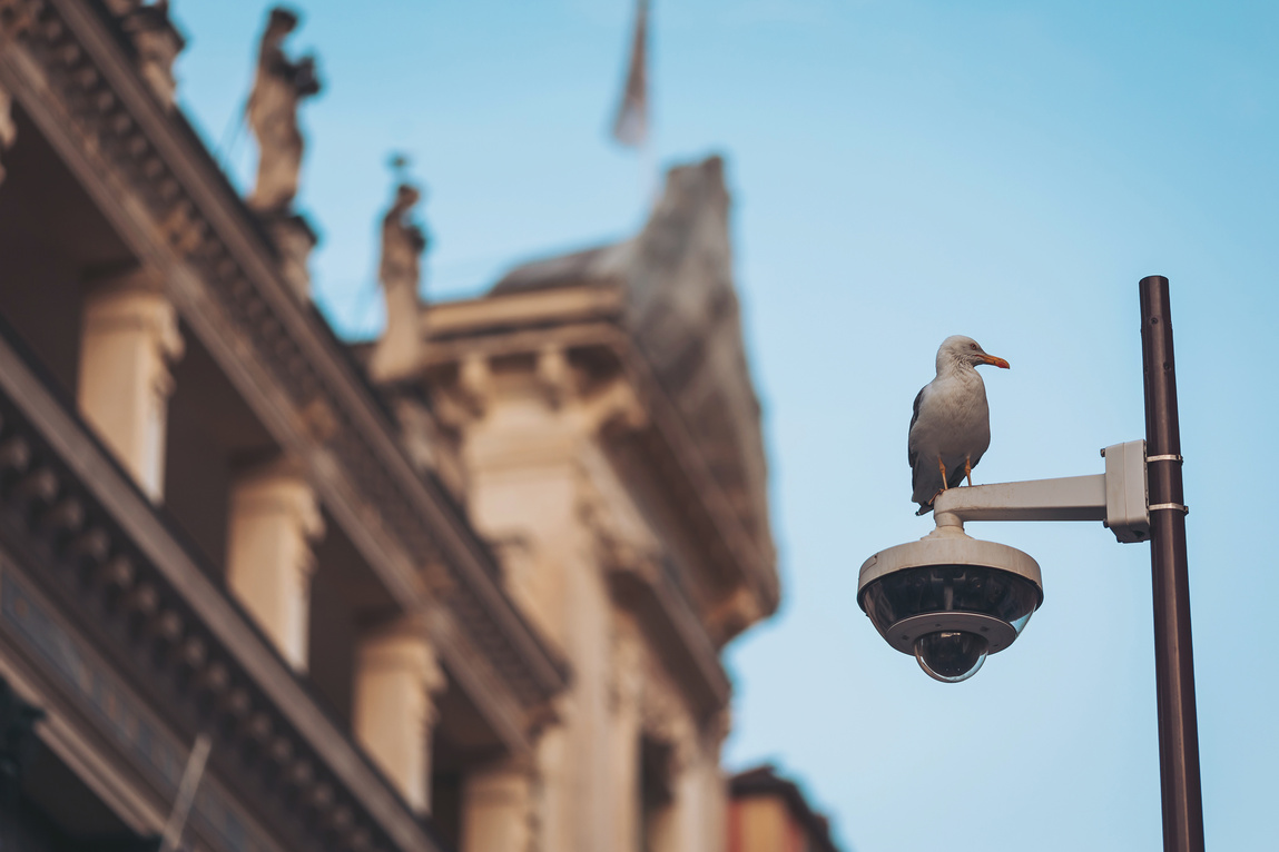 Can Liberal Democracies Survive Mass Surveillance?