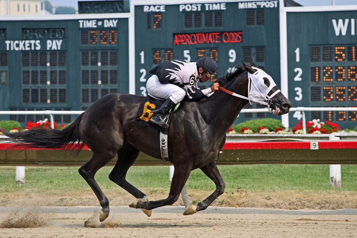 A Libertarian Case for Regulating Sports Betting