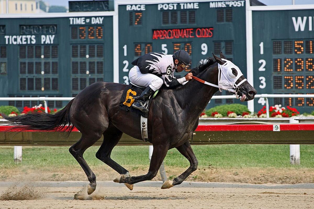 A Libertarian Case for Regulating Sports Betting