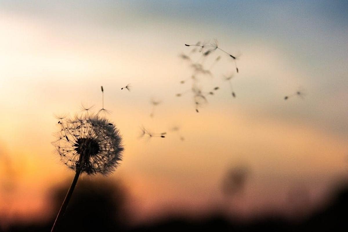 Decentralization As A Principle Is Older Than You Think