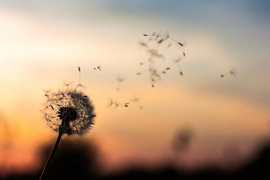 Decentralization As A Principle Is Older Than You Think