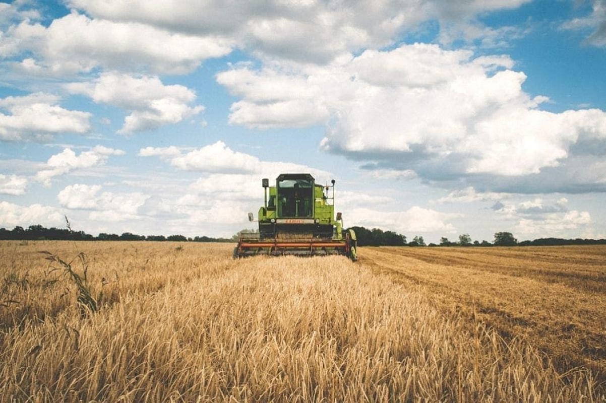 American Farmers Desperately Need Free Markets