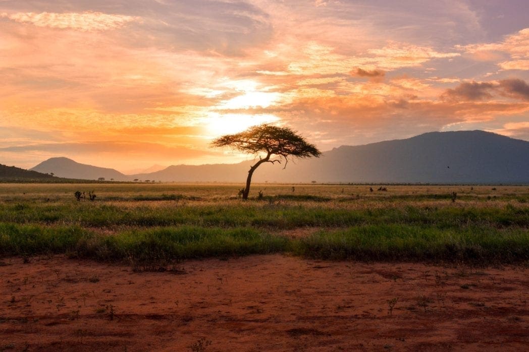 Africa Needs Free Markets to Grow