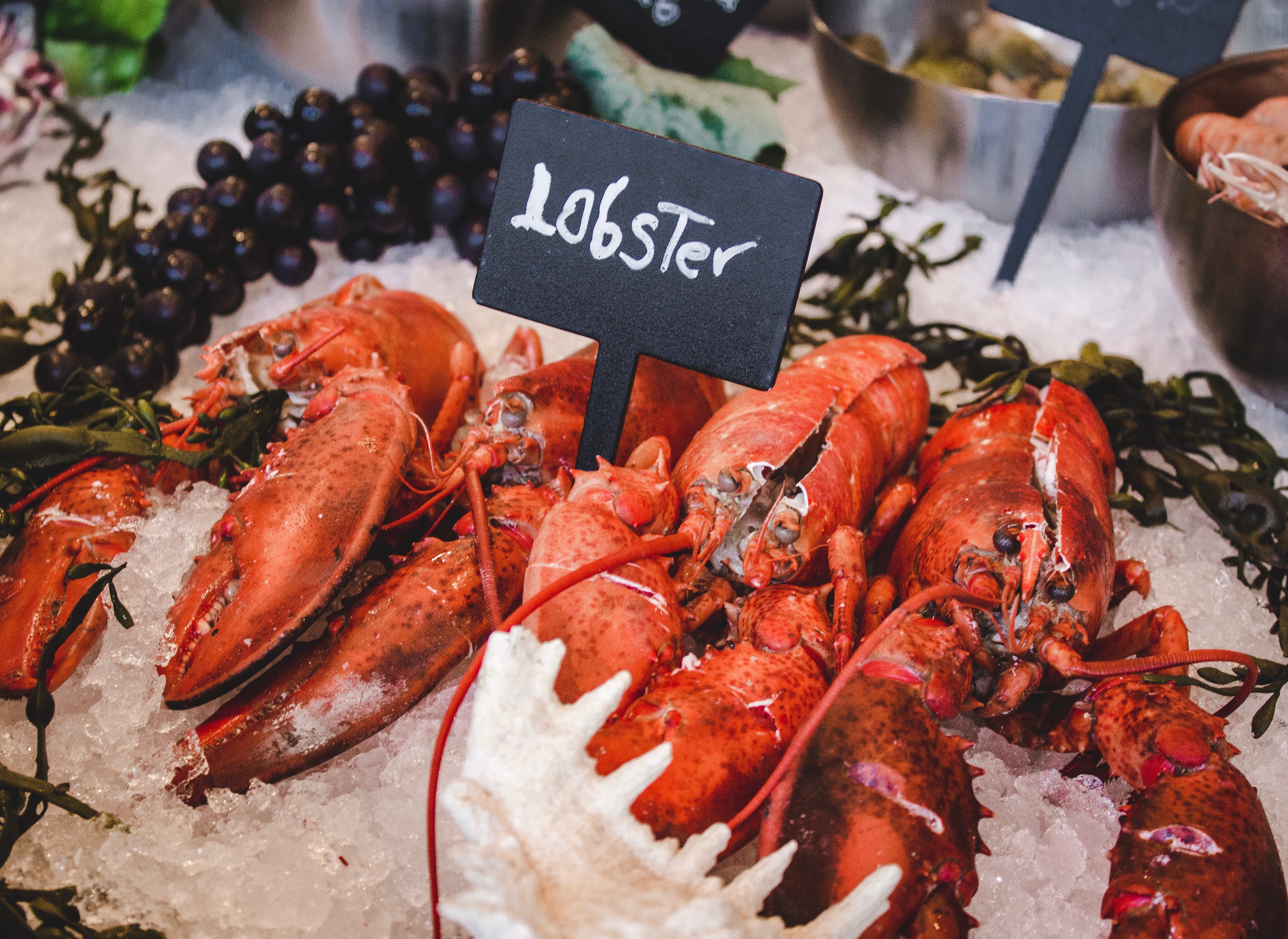 The Lobster Casualties of the Trade War