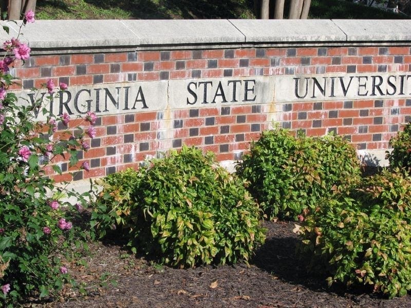 Virginia Colleges Aren’t Doing Much To Protect Free Speech