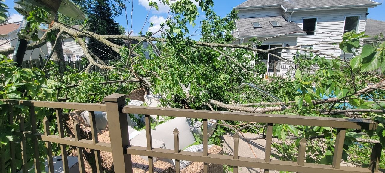 A large portion of the tree fallen onto the neighbor's pool deck
