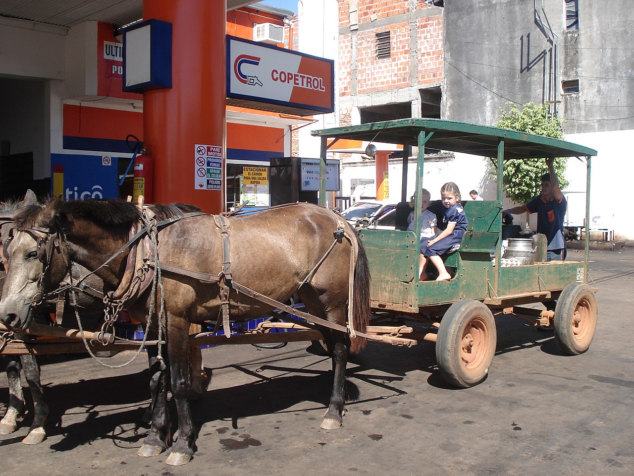 Private Governments in Action How Paraguayan Mennonites Built Colonies in Hostile Terrain with Scant Government ‘Help’