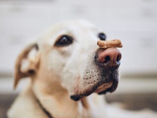 Trapped in the Invisible Time Cage